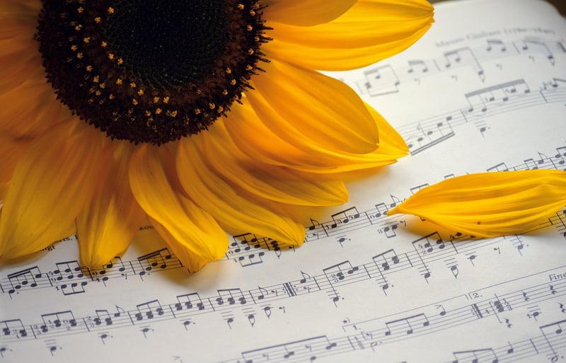 Event Planning Image