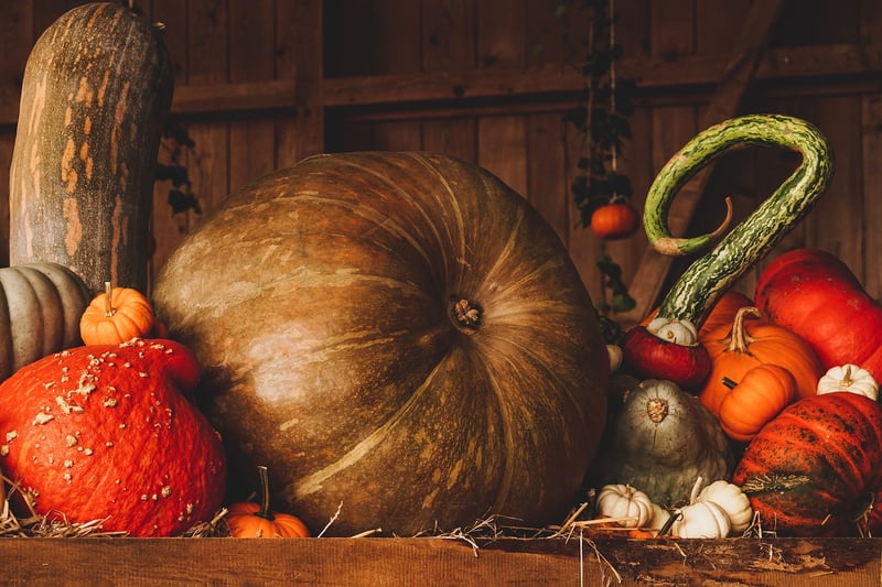 Succulent Pumpkin Centerpieces